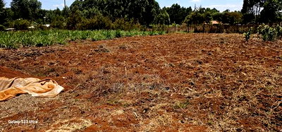 1/2 Acre For Sale Kapseret Lobo In Eldoret - Image 2