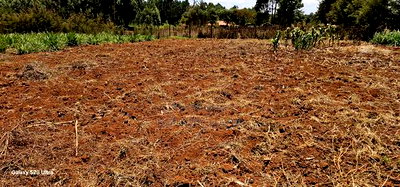 1/2 Acre For Sale Kapseret Lobo In Eldoret - Image 1