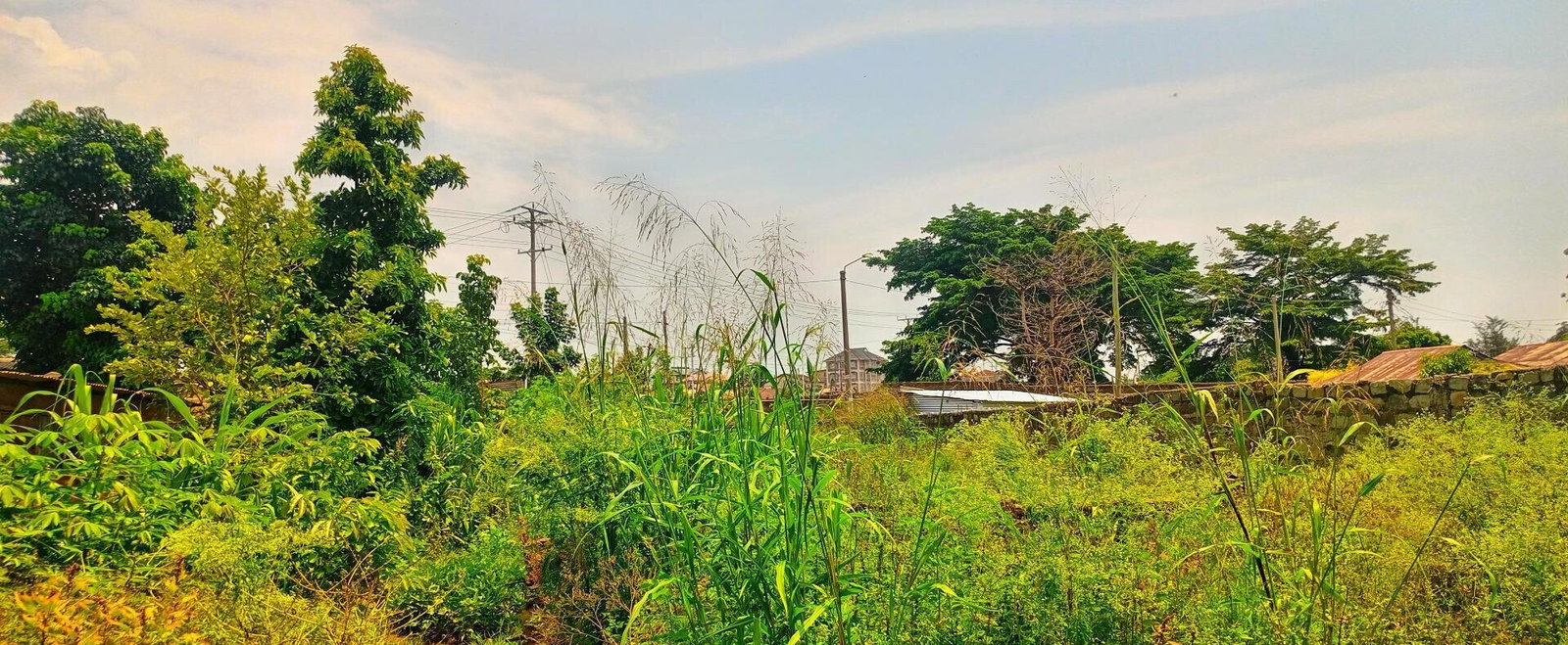 KSh 3.6M RIAT Hills Plot
