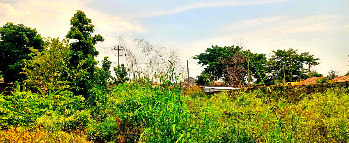 KSh 3.6M RIAT Hills Plot