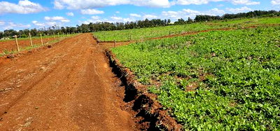 Prime Commercial Plots for Sake in Kimumu Marura in Eldoret - Image 5