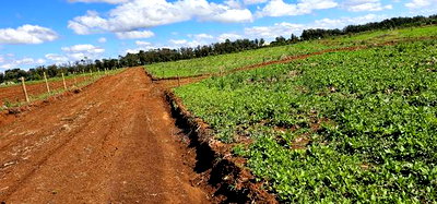 Prime Commercial Plots for Sake in Kimumu Marura in Eldoret - Image 3