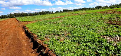 Prime Commercial Plots for Sake in Kimumu Marura in Eldoret - Image 4