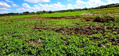 Prime Commercial Plots for Sake in Kimumu Marura in Eldoret - Image 1