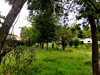 1 Acre for Sale - Image 3