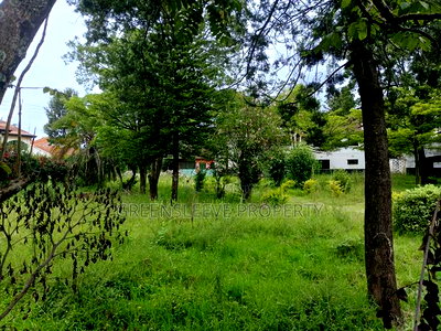 1 Acre for Sale - Image 6