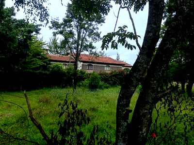 1 Acre for Sale - Image 7