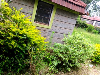 1 Acre for Sale - Image 11