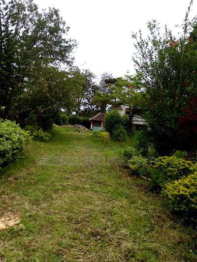 1 Acre for Sale - Image 10