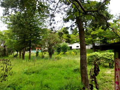 1 Acre for Sale - Image 4