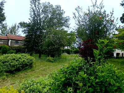 1 Acre for Sale - Image 1