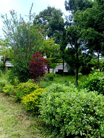 1 Acre for Sale - Image 9