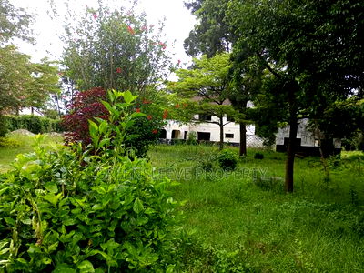 1 Acre for Sale - Image 2