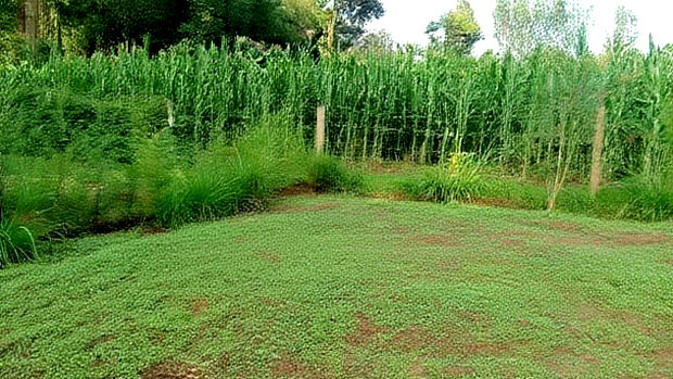 Plot for Sale- Lugulu