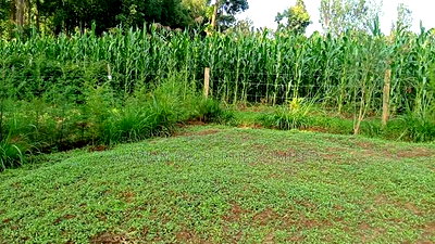 Plot for Sale- Lugulu - Image 1