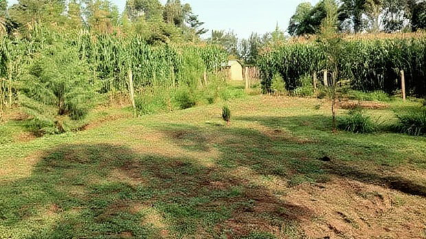 Plot for Sale- Lugulu