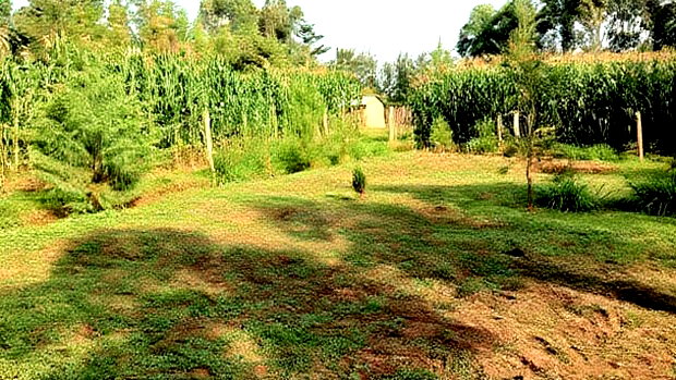 Plot for Sale- Lugulu
