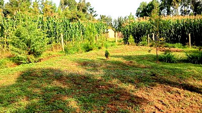 Plot for Sale- Lugulu - Image 2