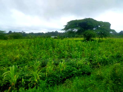 1/8 Acre Plots Merisho Matasia-Ngong - Image 2