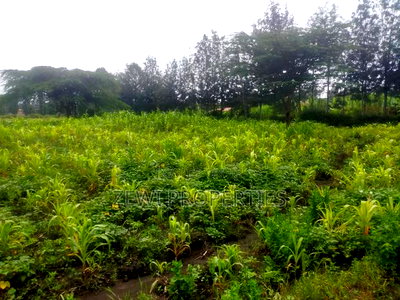 1/8 Acre Plots Merisho Matasia-Ngong - Image 3