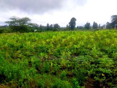1/8 Acre Plots Merisho Matasia-Ngong - Image 5