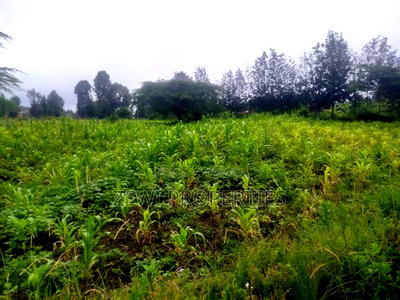 1/8 Acre Plots Merisho Matasia-Ngong - Image 4