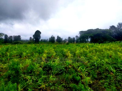 1/8 Acre Plots Merisho Matasia-Ngong - Image 9