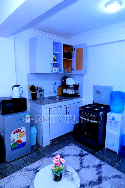 Furnished 1bdrm Apartment in Attic Place, South B for rent - Image 2