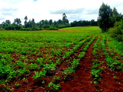 6 Acre Prime Land in Cheplaske, Eldoret - Image 1