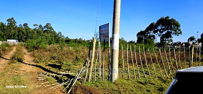 1/4 Plot for Sale in Royalton After Annex in Eldoret - Image 8