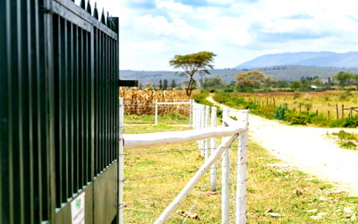 1/8 Acre Plot with Garden for KSh 380K