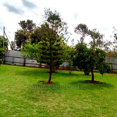 1/2 Acre for Sale at Thome Estate - Image 5