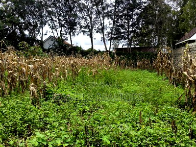Gated Residential Eighth Acre Corner Plot in Kerarapon Ngong - Image 6