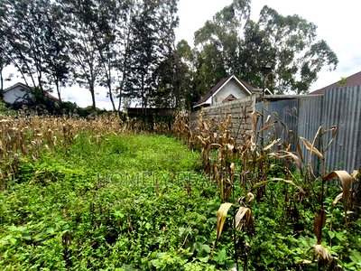Gated Residential Eighth Acre Corner Plot in Kerarapon Ngong - Image 2