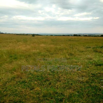 40 Acres for Sale in Pipe Line Road Birika - Image 3