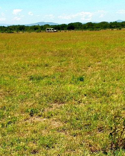 5-Acre Commercial Property with Garden and Parking