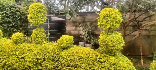 4bdrm Maisonette in Balozi, Muthaiga for sale