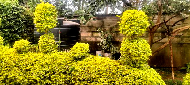 4bdrm Maisonette in Balozi, Muthaiga for sale