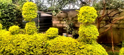 4bdrm Maisonette in Balozi, Muthaiga for sale - Image 2