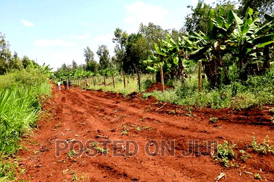Prime Plots Along Kenyatta Road - Image 4
