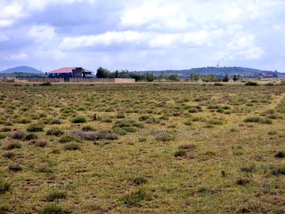 3 Acres in Naivasha ,Touching Tarmac - Image 5