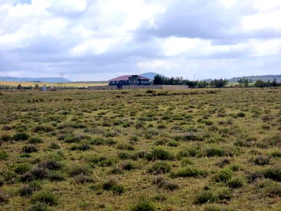 3 Acres in Naivasha ,Touching Tarmac - Image 3
