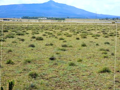 3 Acres in Naivasha ,Touching Tarmac - Image 2