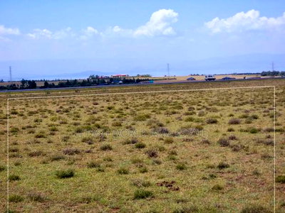 3 Acres in Naivasha ,Touching Tarmac - Image 1
