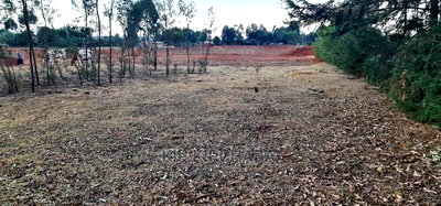 1/8 Touching Bypass Tarmac Lemook Kapseret Eldore - Image 6