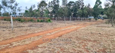 1/8 Touching Bypass Tarmac Lemook Kapseret Eldore - Image 9