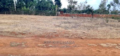 1/8 Touching Bypass Tarmac Lemook Kapseret Eldore - Image 2