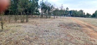 1/8 Touching Bypass Tarmac Lemook Kapseret Eldore - Image 4