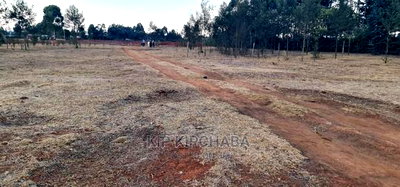 1/8 Touching Bypass Tarmac Lemook Kapseret Eldore - Image 10