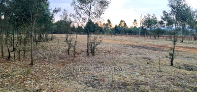 1/8 Touching Bypass Tarmac Lemook Kapseret Eldore - Image 8